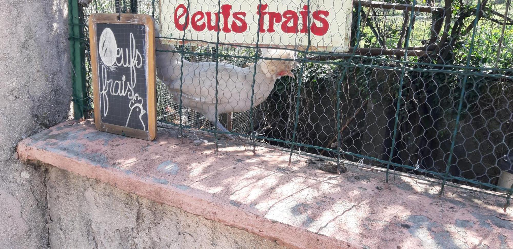 Ferienwohnung Les Ecrins Les Mages Exterior foto